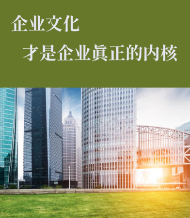 山东冷凝器选型要点及在锅炉节能改造中的常见问题解析